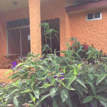 Готель Cabinas Los Guayabos La Fortuna Екстер'єр фото