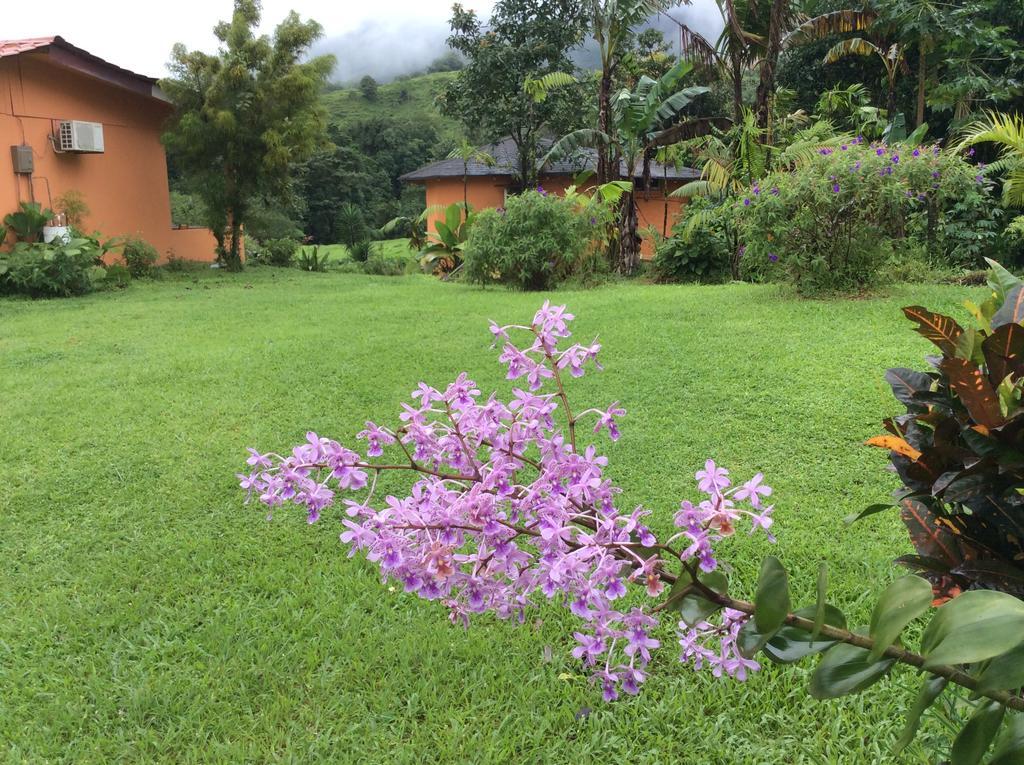 Готель Cabinas Los Guayabos La Fortuna Екстер'єр фото